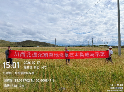 性爱网站