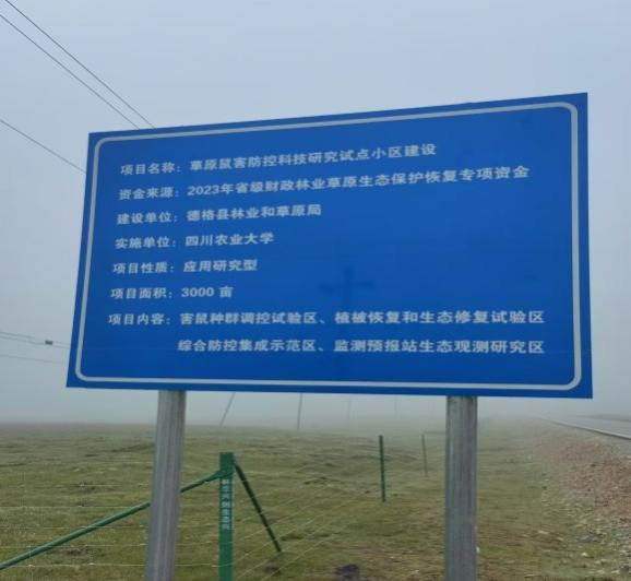 性爱网站