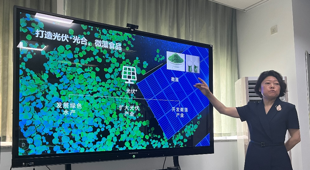 性爱网站