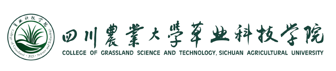 性爱网站